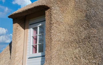 Arrad Foot thatch roof disadvantages
